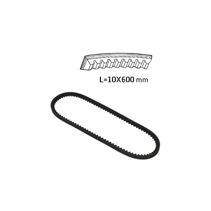 CORREA 10X600