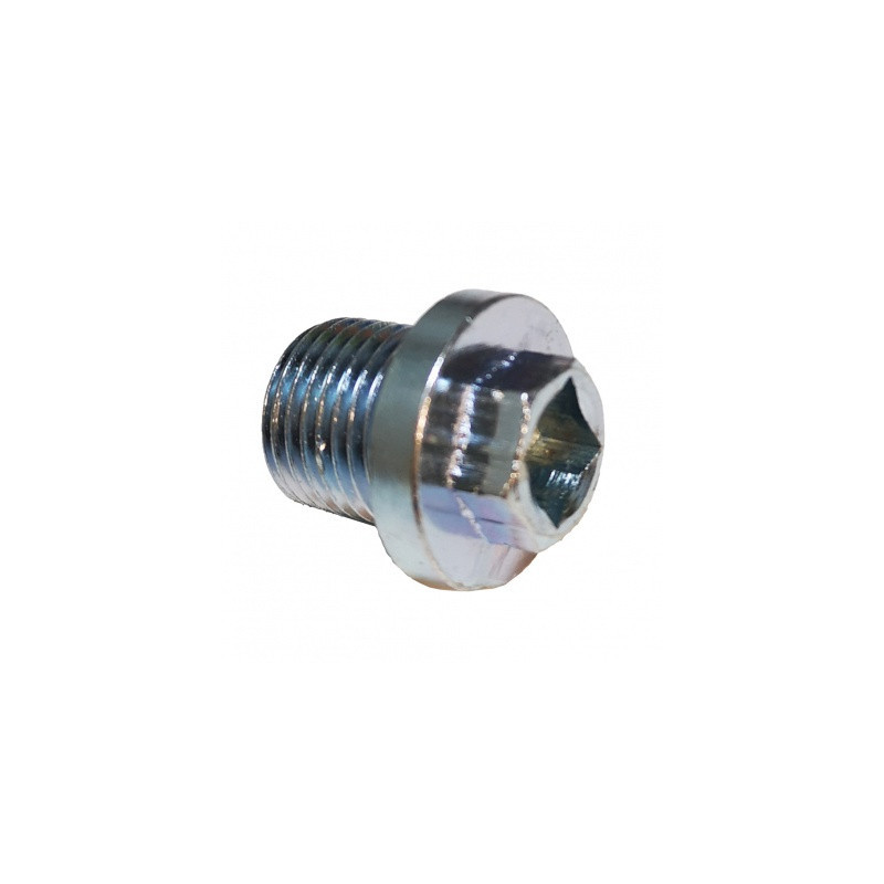 TORNILLO CARTER M16X1.5