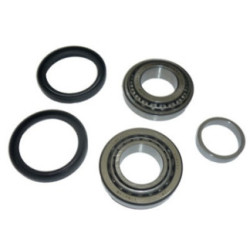 KIT RODAMIENTO DELANTERO MINI (DISCO)