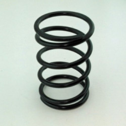 MUELLE MOTOR 500 N D F L