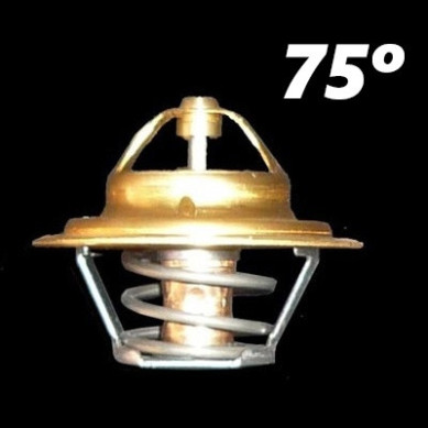 TERMOSTATO 75 GRADOS