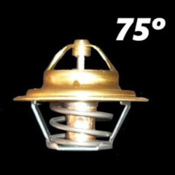 TERMOSTATO 75 GRADOS