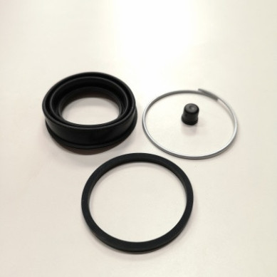 Kit de reparación pinza disco R4 R5