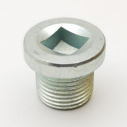 TAPON CARTER RENAULT M18X150