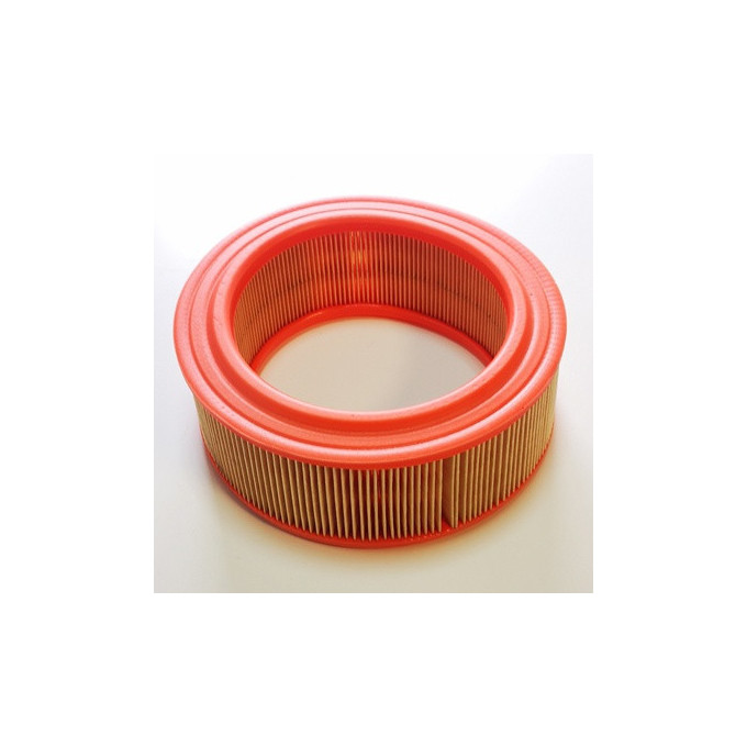 FILTRO AIRE RENAULT 4 (202)