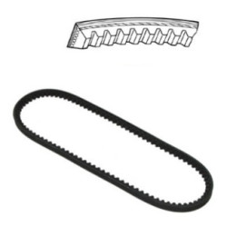 Correa trapezoidal 10x710