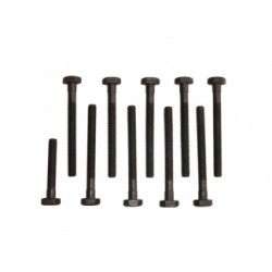 TORNILLOS CULATA (10 UN.)