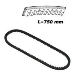 CORREA 10X750