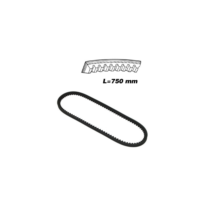 CORREA 10X750