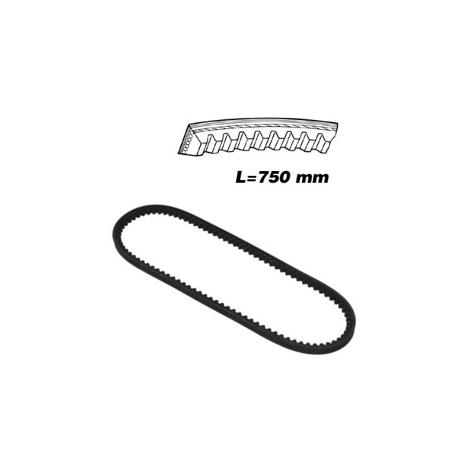 CORREA 10X750