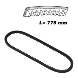 CORREA 10X775