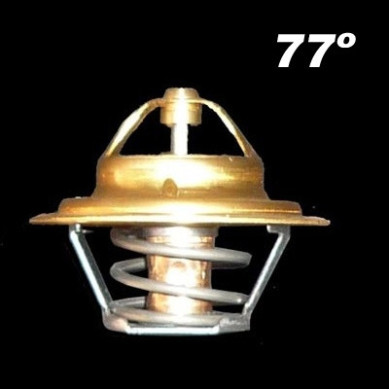 TERMOSTATO 77 GRADOS