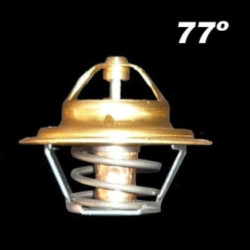 TERMOSTATO 77 GRADOS