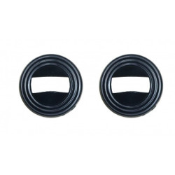 ROSETA NEGRA (2 UND)