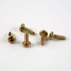 TORNILLO FIJACION PLACA MATRICULA (5 UND)