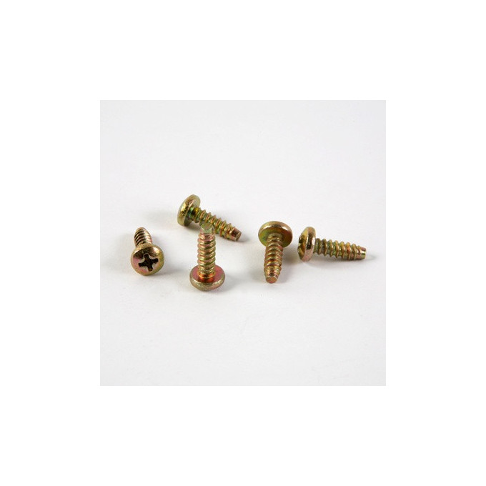 TORNILLO FIJACION PLACA MATRICULA (5 UND)